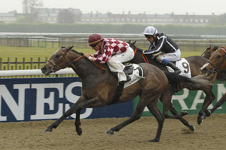 Actualités Hippiques